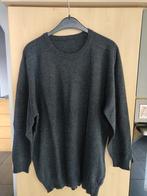 Pull merk uitgeknipt.  maat XL., Ophalen of Verzenden, Gedragen, Maat 56/58 (XL), Grijs
