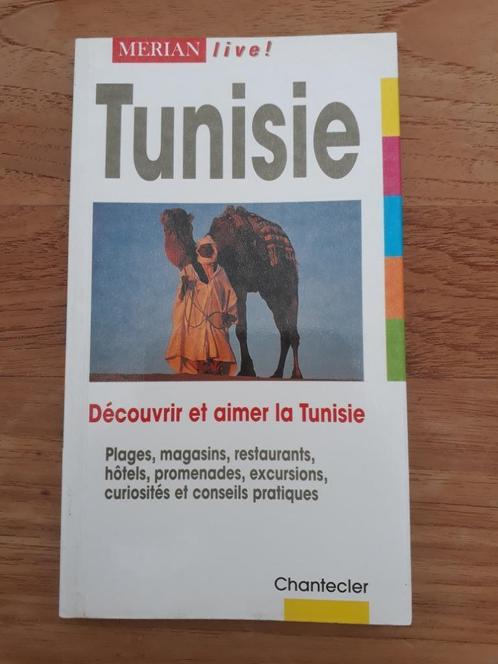 Guide de voyage sur la Tunisie, Livres, Guides touristiques, Neuf, Guide ou Livre de voyage, Afrique, Autres marques, Budget, Enlèvement ou Envoi