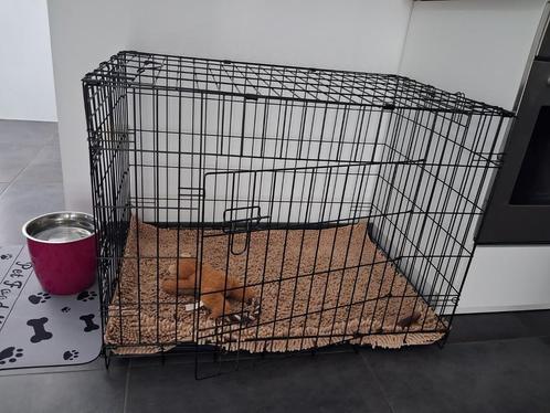 Metalen bench, goede staat, Dieren en Toebehoren, Hondenbenches, Zo goed als nieuw, Ophalen