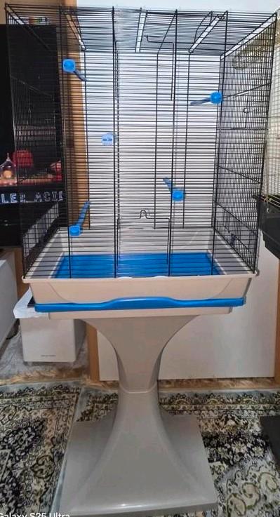 Hauteur de la cage + support 137

Largeur de la cage 57, Animaux & Accessoires, Oiseaux | Cages & Volières, Enlèvement