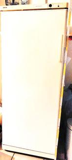 Koelkast, Elektronische apparatuur, Koelkasten en IJskasten, Ophalen, Zo goed als nieuw, Energieklasse A of zuiniger, 140 tot 160 cm