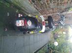 Fat Boy Scooter/ 2070 Zwijndrecht, Ophalen