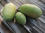 Bio pawpaw fruit, Ophalen