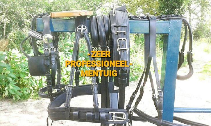 🔴 NIEUW ZWART ZEER PROFESSIONEEL COB ENKELSPAN TUIG 450 €, Dieren en Toebehoren, Paarden en Pony's | Hoofdstellen en Tuigage