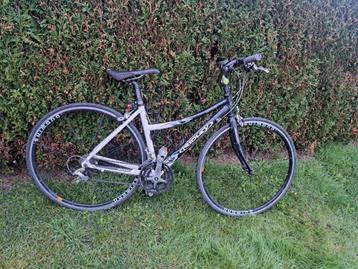 Ridley Geryon  damesfiets, Maat 50 beschikbaar voor biedingen