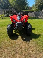 Can am 90cc, Motoren