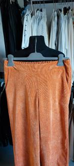 Oranje broek geen merk maat M/L, Vêtements | Femmes, Culottes & Pantalons, Enlèvement ou Envoi, Comme neuf, Taille 38/40 (M), Orange