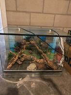 Terrarium, Dieren en Toebehoren, Ophalen, Gebruikt, Terrarium of Paludarium