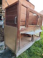 Konijnenhok, Ophalen, Cavia, 90 cm of meer, Hok