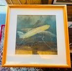 Litho vliegtuig, Antiek en Kunst, Kunst | Litho's en Zeefdrukken, Ophalen