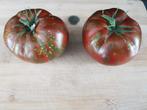 Chocolate stripes tomaat - 5 zaden, Tuin en Terras, Verzenden, Voorjaar, Zaad