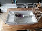 Kooi voor knaagdieren, Ophalen, Zo goed als nieuw, Kooi, Cavia