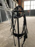 Hoofdstel + teugels, Animaux & Accessoires, Chevaux & Poneys | Brides & Harnachement, Enlèvement ou Envoi, Utilisé, Récréation