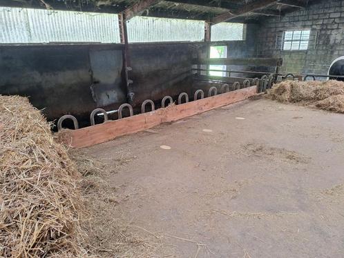 Paarden vriendelijke stalling in Nukerke, Dieren en Toebehoren, Stalling en Weidegang, Stalling, Weidegang, 2 of 3 paarden of pony's