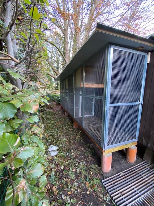 Kweekboxen duiven, Dieren en Toebehoren, Vogels | Duiven