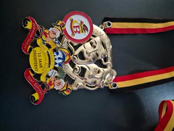 Médaille à vendre du centre de la Belgique 2013, Enlèvement ou Envoi, Comme neuf