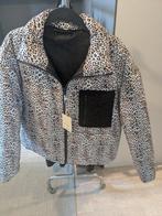 Veste d'hiver pour femme taille 48, encore NEUVE, Enlèvement, Taille 46/48 (XL) ou plus grande