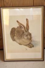 "Jonge Haas" van Albrecht Dürer met kader, Antiek en Kunst, Ophalen of Verzenden