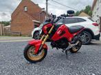 Honda msx 125cc grom in nieuwstaat!!!!, Motoren, Motoren | Honda, LED Verlichting, Bedrijf, 125 cc, 11 kW of minder
