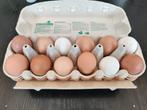 4 dozen verse eieren voor 10€, Autres types, Enlèvement ou Envoi, Neuf