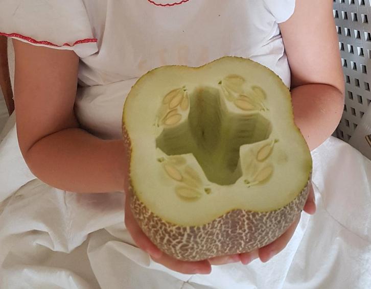 Poona Kheera komkommerzaden, Tuin en Terras, Bloembollen en Zaden, Zaad, Voorjaar, Ophalen of Verzenden