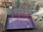 cage à lapin / 100x 50 cm, Ophalen, Kooi, Konijn