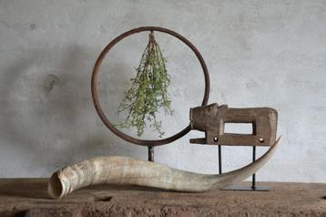 Prachtige hoorn, extra lang beschikbaar voor biedingen