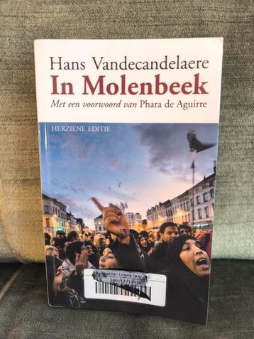 In Molenbeek.     (Hans Vandecandelaere) beschikbaar voor biedingen