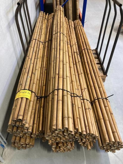 Phyllostachys bamboe stammen Bamboestokken, Tuin en Terras, Palen, Balken en Planken, Nieuw, Palen, 250 cm of meer, Ophalen