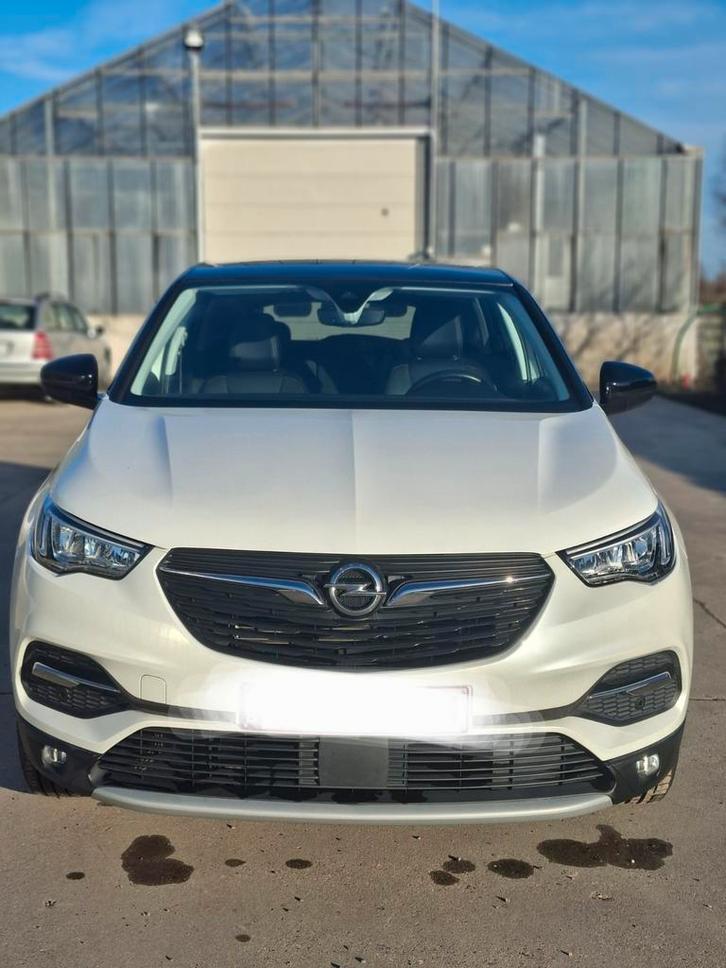 Opel Grandland hybride, Auto's, Opel, Bedrijf, Grandland, Lederen bekleding, Mistlampen, Hybride Elektrisch/Benzine, SUV of Terreinwagen