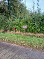 perceel bouwland te Lichtaart ,Kasterlee , 13,88 are, Immo, Kasterlee, Lichtaart, Verkoop zonder makelaar, 1000 tot 1500 m²