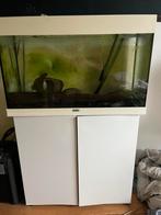 Aquarium 150L+ meuble, Enlèvement, Utilisé