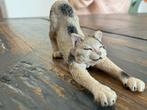 Schleich kat, Ophalen, Zo goed als nieuw