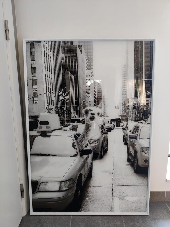 mooi schilderij met glas .kleur zwart wit., Huis en Inrichting, Woonaccessoires | Schilderijen, Tekeningen en Foto's, Zo goed als nieuw