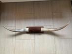 DECORATIEVE TEXAS STYLE BULLBAR LONGHORN, Verzamelen, Dierenverzamelingen, Ophalen, Zo goed als nieuw, Gewei of Kop