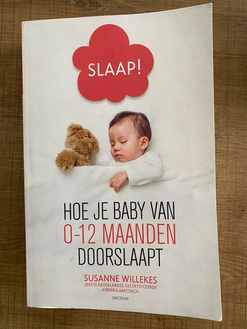 Susanne Willekes - Slaap!, Boeken, Zwangerschap en Opvoeding, Zo goed als nieuw, Ophalen of Verzenden