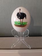 Beschilderde struisvogeleieren, Diversen, Ophalen of Verzenden, Zo goed als nieuw