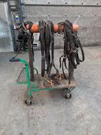 ÉPI simple et double, Enlèvement, Utilisé, Autres espèces