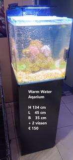 warmwater aquarium, Dieren en Toebehoren, Vissen | Aquaria en Toebehoren, Ophalen, Zo goed als nieuw, Gevuld zeewateraquarium