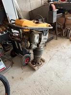 Dameuse pilloneuse, Enlèvement