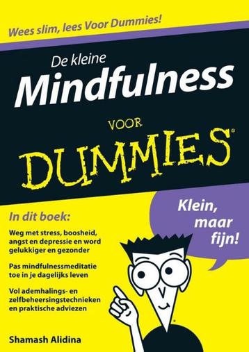 De kleine Mindfulness voor Dummies   beschikbaar voor biedingen