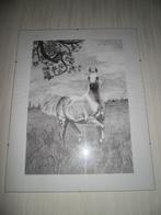 Potloodtekening Paard, Antiek en Kunst, Ophalen