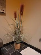 Nep plant met pot +/- 120 cm hoog, Enlèvement, Comme neuf