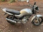 YAMAHA YBR 125, Entreprise, Permis Moto A1 minimum, Yamaha, 1 cylindre