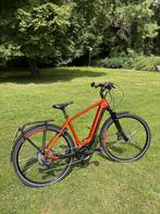Bergamond speedpedelec 45 klm uur, 55 tot 59 cm, Ophalen, Zo goed als nieuw, Overige merken