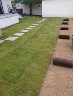 Landschapstuinier, Tuin en Terras, Gras en Kunstgras, Ophalen of Verzenden, Nieuw, 20 m² of meer, Gras