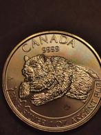 Canada, 5 Dollar 2019,Grizzly bear, 1 Oz zilver 999%,BU, Zilver, Ophalen of Verzenden, Losse munt, Noord-Amerika