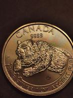 Canada, 5 Dollar 2019,Grizzly bear, 1 Oz zilver 999%,BU, Postzegels en Munten, Munten | Amerika, Ophalen of Verzenden, Noord-Amerika