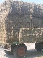 Foin, Animaux & Accessoires, Nourriture pour Animaux, Enlèvement