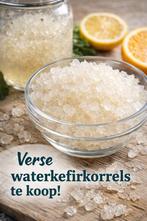 Verse waterkefirkorrels, Diversen, Levensmiddelen, Ophalen